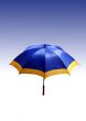 Beach umbrella