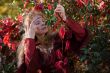 The elf in the autumn forest