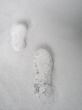 prints in the snow