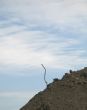 dirt pile