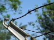 barbed wire fence