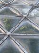 bubble dome structure
