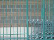 green fence