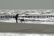 Woman and dog walking on the beach