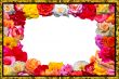 Festive floral frame