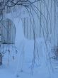 white deer in the snow