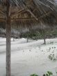 under a palapa