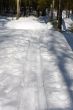 Ski track
