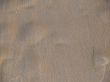 sand background