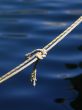 knotted rope