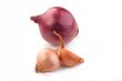 Shallot and Red Onion