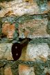 Brick stone wall texture