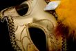 Mask Venetian, Carnival