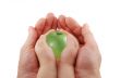 Green apple and baby