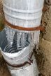 Icicles on a drainpipe