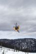 Skiier Midair