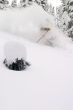 Skiier Shrouded by Snow