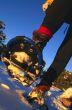 Snowshoeing