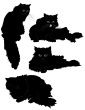 cats silhouette