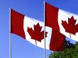 Canadian Flags