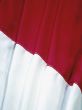 Indonesian Flag