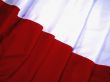Polish Flag