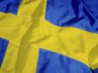Swedish Flag