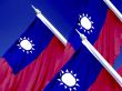 Taiwanese Flag