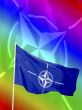 NATO flag