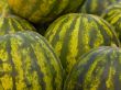 watermelons