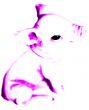 Pig Background