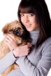 Cute dog portrait