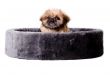 pekingese in a big basket