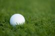 golf ball on the green