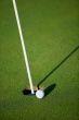 golf ball and club