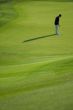 golfer on the green