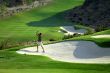 Man on Golf Course