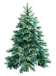 Blue christmas tree with clipping path
