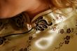 Detail of the Japanese dress