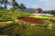 Chinese Temple and Garden