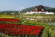 Chinese Temple and Garden