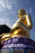 Golden Buddha