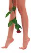 Woman legs with rose