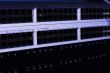 network switch