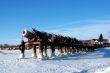 Tatarstan. Buoys at the bank