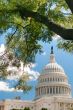 US Capitol