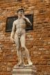 David statue