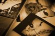 Photo Album