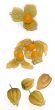 A series of fresh Physalis fruits