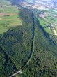 german forest and  road passing through